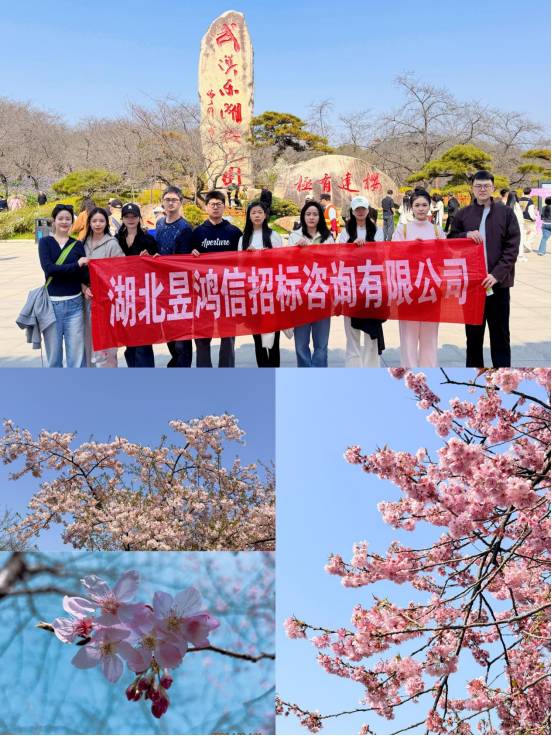 1773391351966098.png image.png